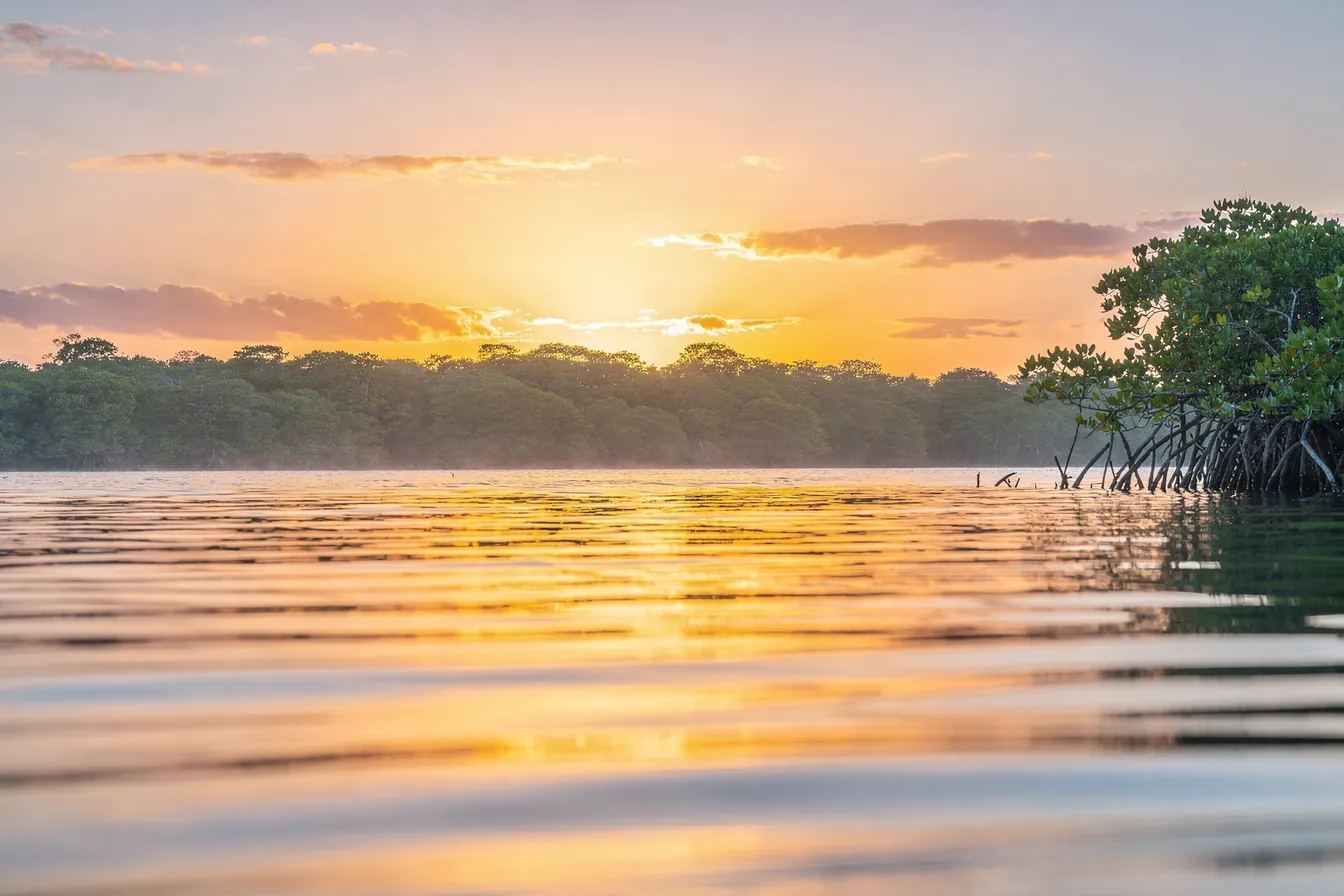 Morning sun breaking over a calm bay, a band of light across the water beneath a wide sky