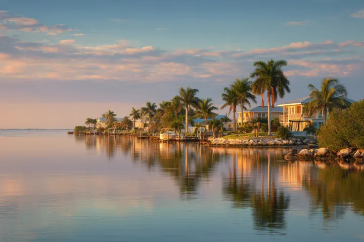 Golden-hour light over a calm Southwest Florida bay edged with mangroves and palms, low homes along the far shore