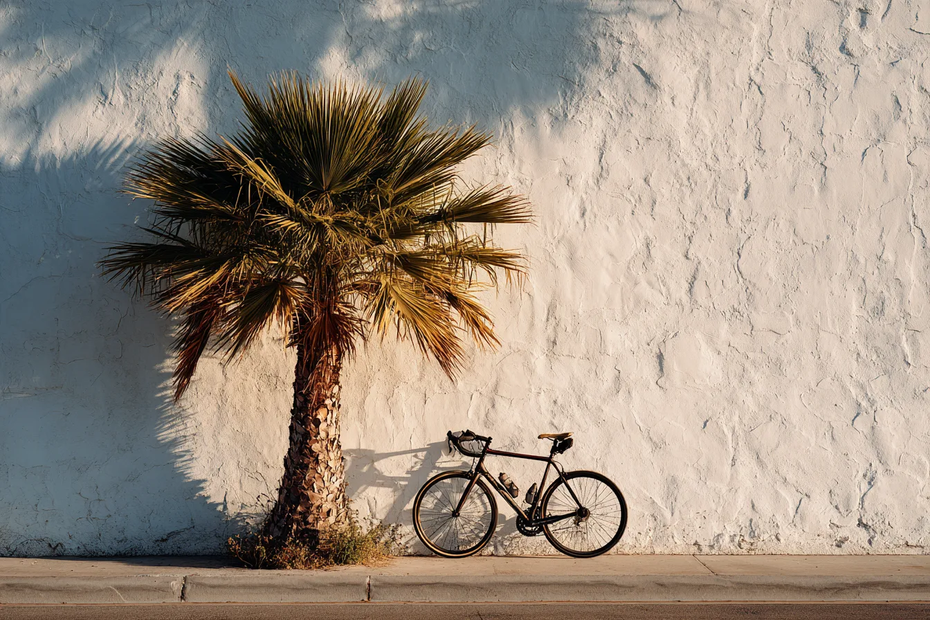 A road bike leaning against a white stucco wall beside a small palm in early light