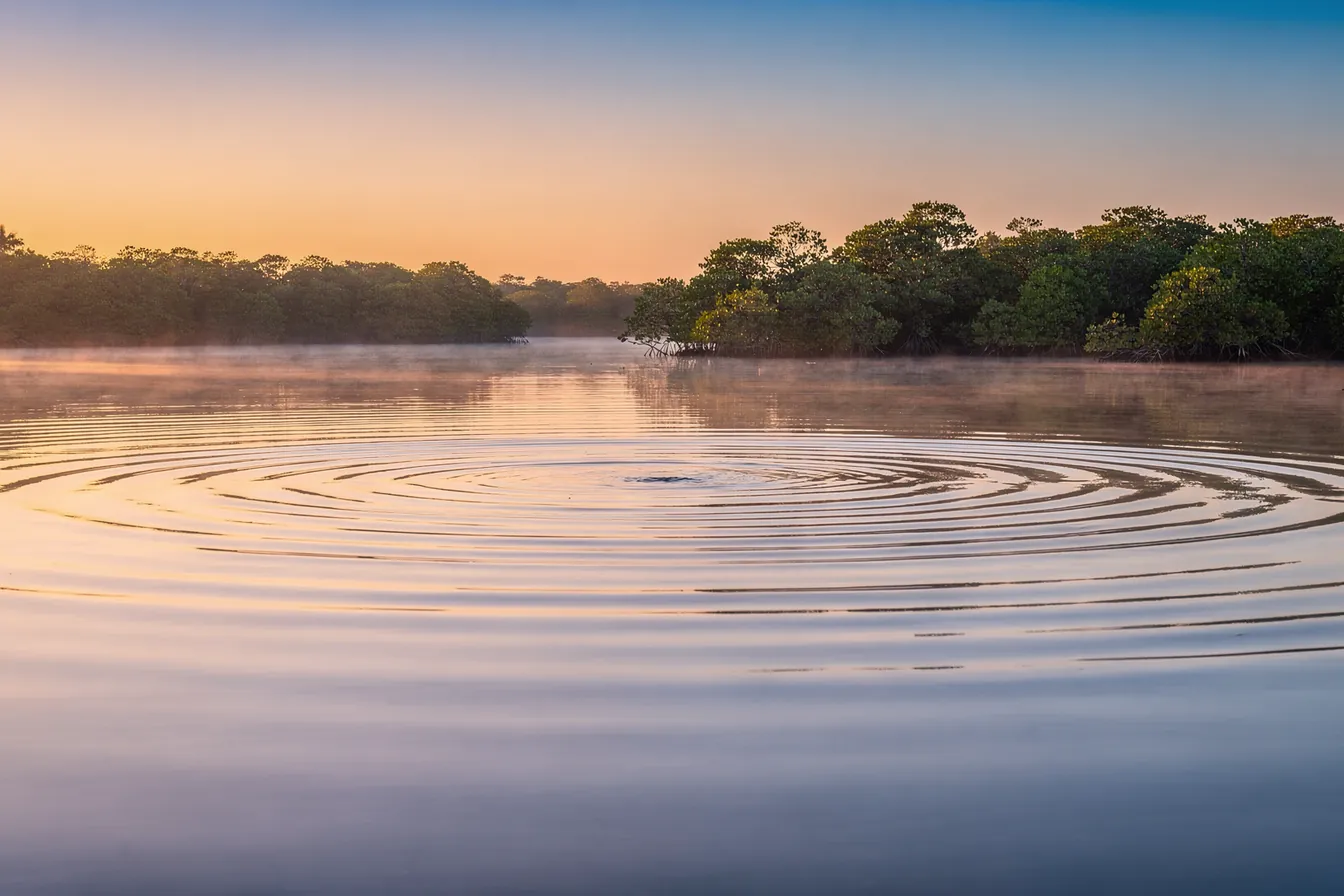 Concentric ripples spreading across still water at sunrise