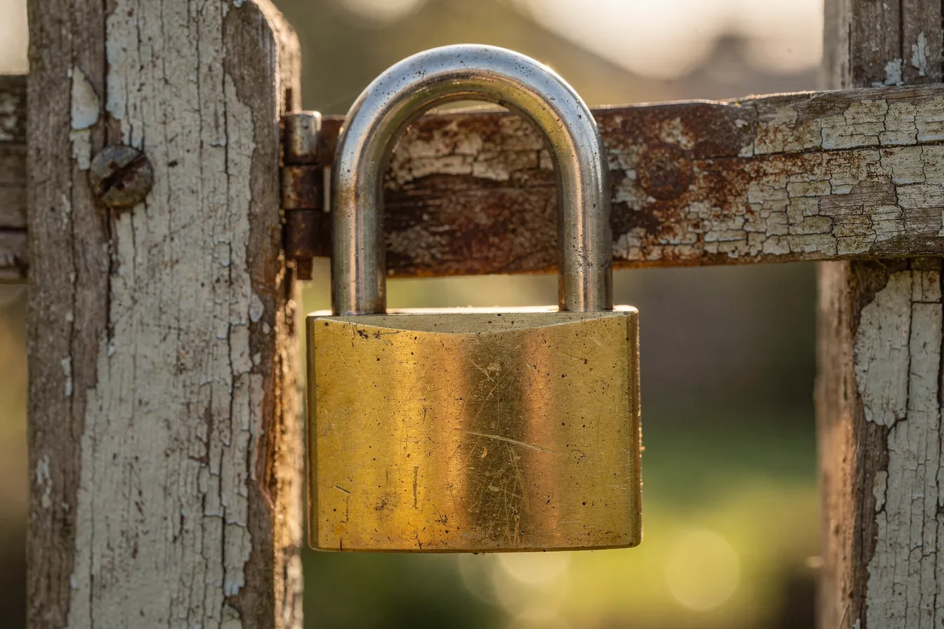 A brass padlock fastened on a weathered wooden gate in morning light