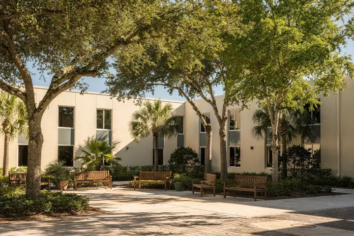 A sunlit school courtyard with shade trees, benches and low cream buildings with tall windows