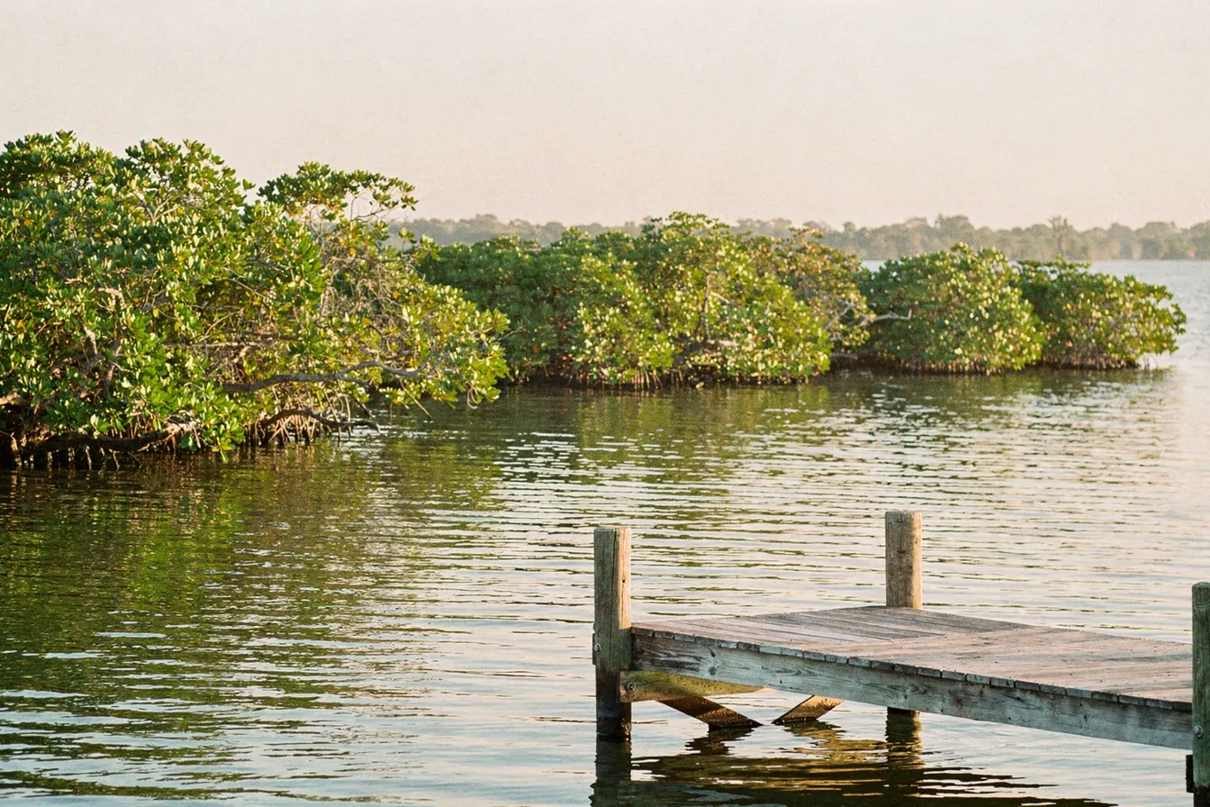 Soft morning light on a calm Southwest Florida bay with mangroves along the shore and a small dock