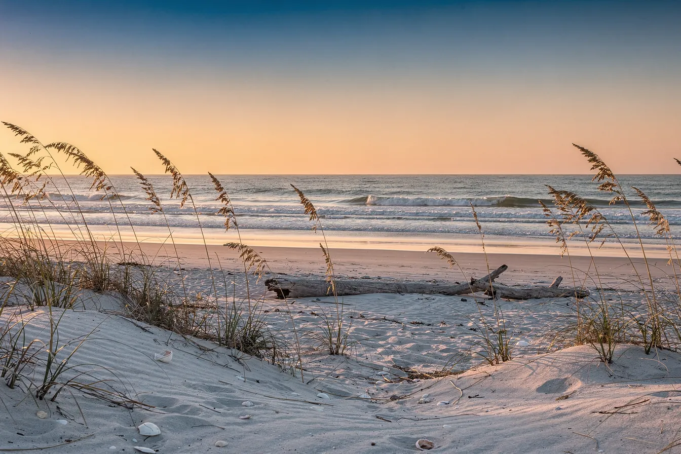 A calm Gulf beach at sunrise with gentle surf and sea oats on the dunes