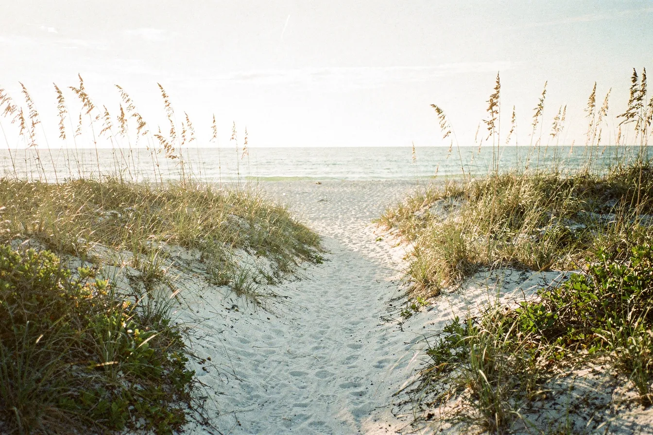 Two sandy paths splitting through sea oats toward a bright beach