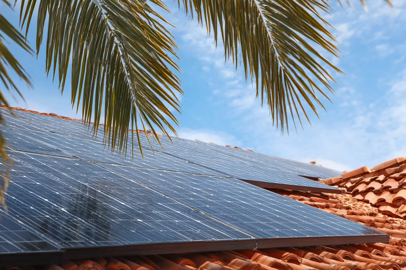 Close view of dark solar panels on a terracotta tile roof, palm fronds reflected in the glass