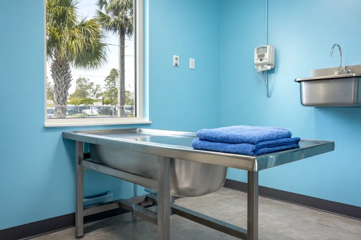 A bright, empty veterinary exam room with a steel table, a folded towel and a window onto palms