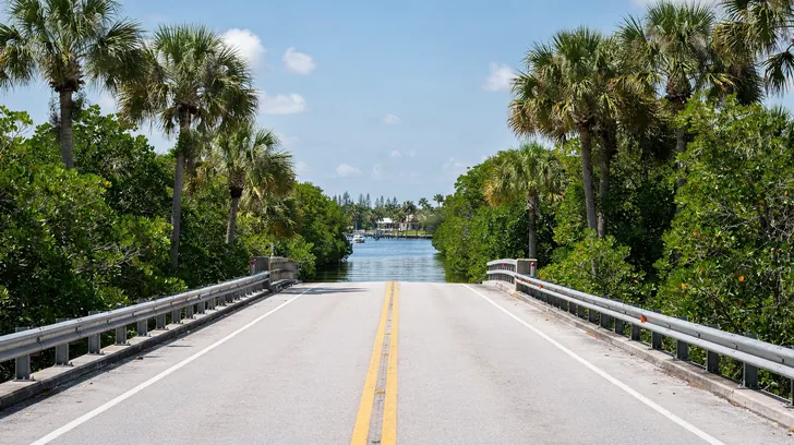 A two-lane road crossing a short bridge over a river lined with mangroves and palms