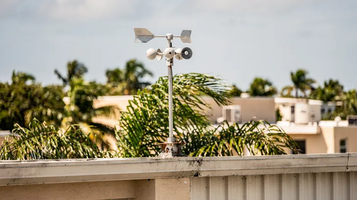 A weather station with a wind vane and cup anemometer on a flat roof, palm tops and buildings behind