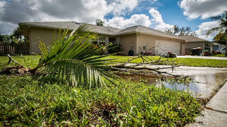 A fallen palm frond and broken branches on a wet lawn in front of a Florida home after a summer squall