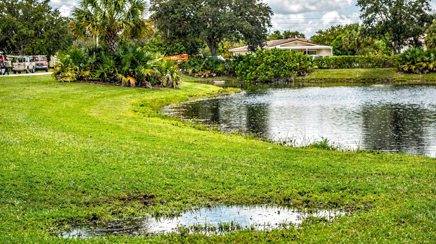 A green lawn sloping to a retention pond after a summer rain, puddles standing in the grass