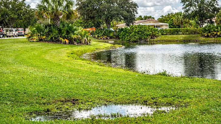 A green lawn sloping to a retention pond after a summer rain, puddles standing in the grass