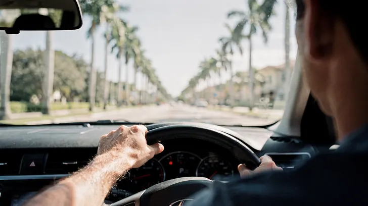 A driver’s hands on the wheel on a straight road lined with tall royal palms, seen from beside the driver